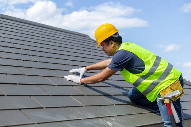 Best Roof Gutter Cleaning  in Solvay, NY