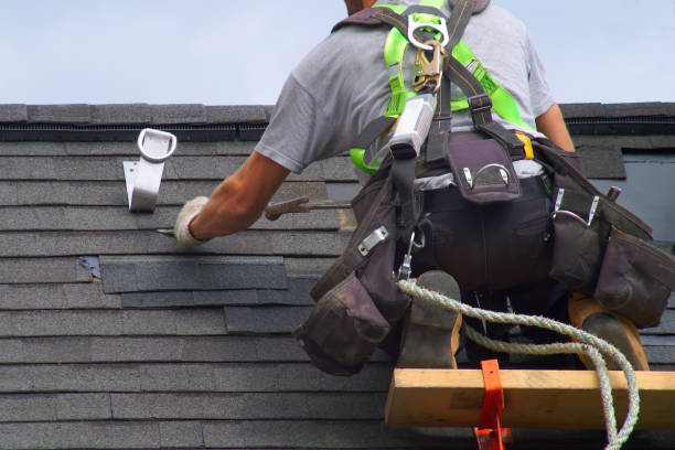 Best Roof Gutter Cleaning  in Solvay, NY